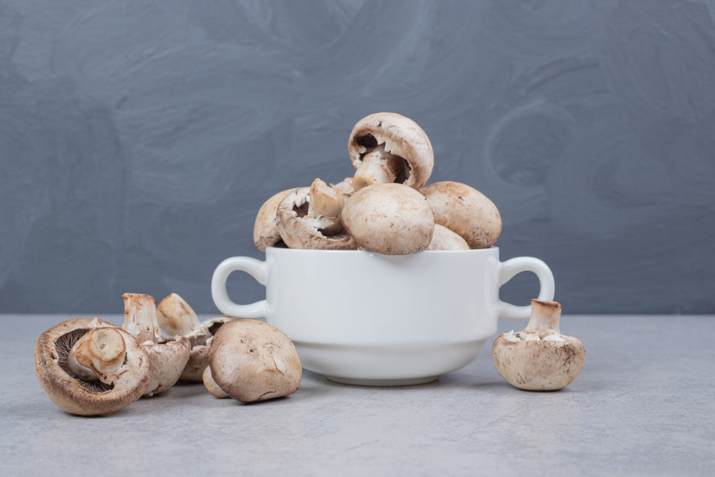 The Ultimate Guide To Healing With Functional Mushrooms