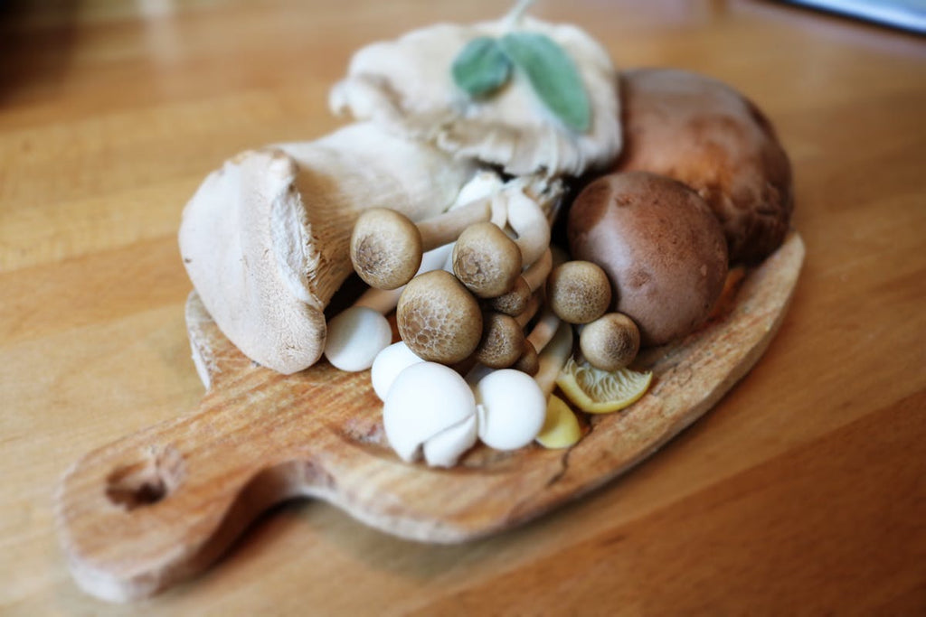 Unlocking the Power of Mushrooms for Men's Well-being