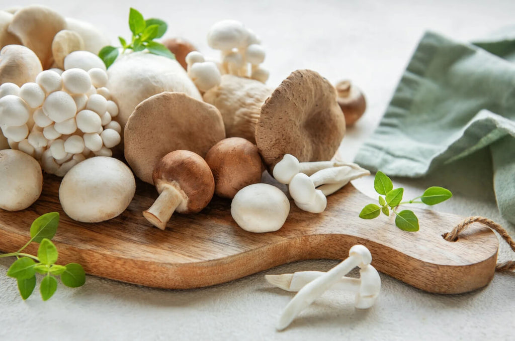 Unveiling the Health Benefits of Functional Mushroom Supplements
