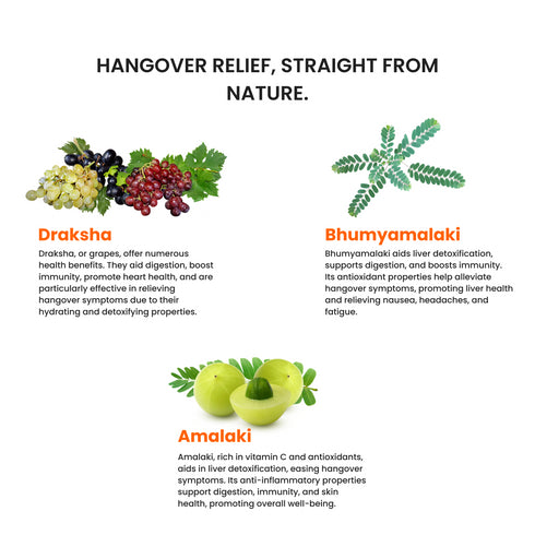 Hangover Relief Slips