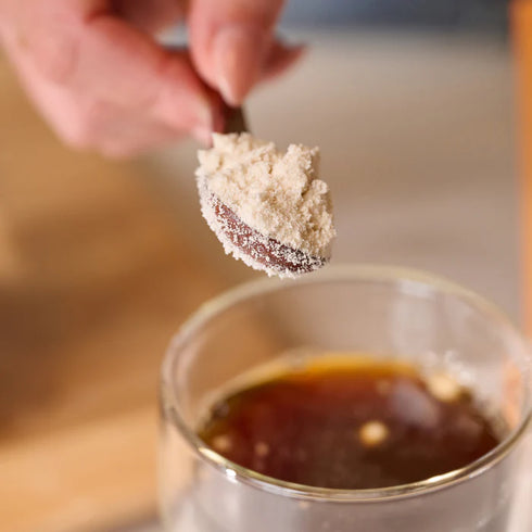 Four Sigmatic Focus Coffee Creamer with L-Theanine & Lion’s Mane Mushroom