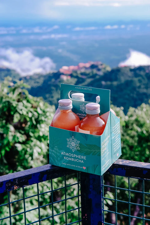 Atmosphere Studio Kargil Apricot Kombucha