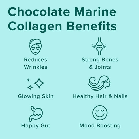 Further Food Wild-Caught Chocolate Marine Collagen with Reishi Mushroom