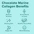 Further Food Wild-Caught Chocolate Marine Collagen with Reishi Mushroom