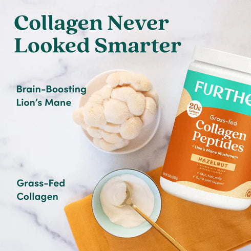 Further Food Hazelnut Bovine Collagen Peptides Powder with Lion's Mane Mushroom