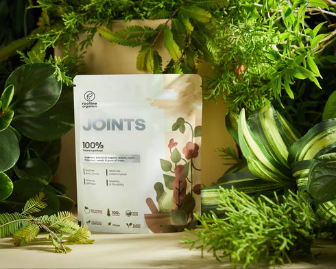 Joints Superfood Blend