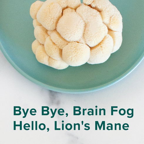 Further Food Hazelnut Bovine Collagen Peptides Powder with Lion's Mane Mushroom