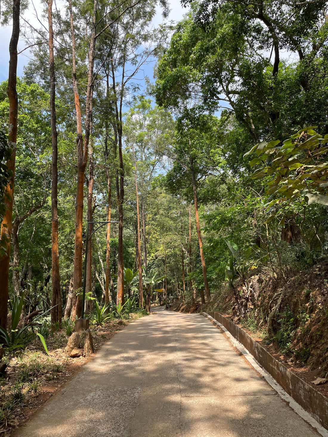 ground yourself in nature