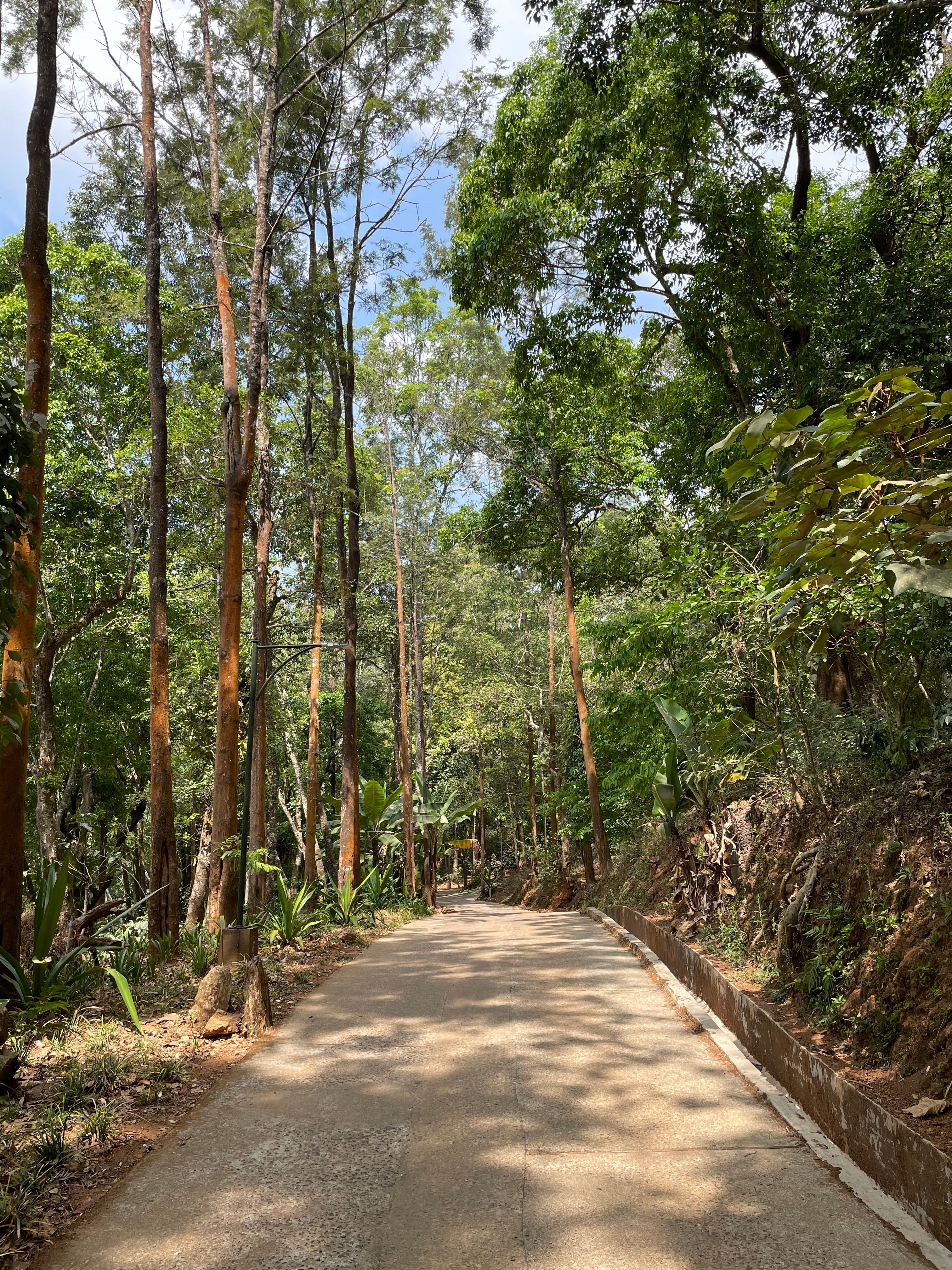 ground yourself in nature