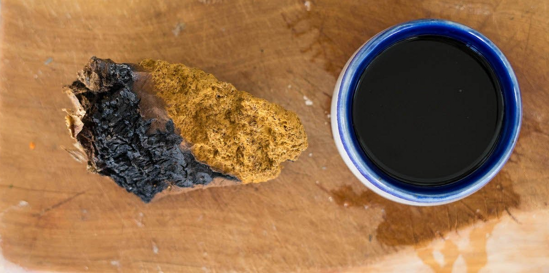 chaga