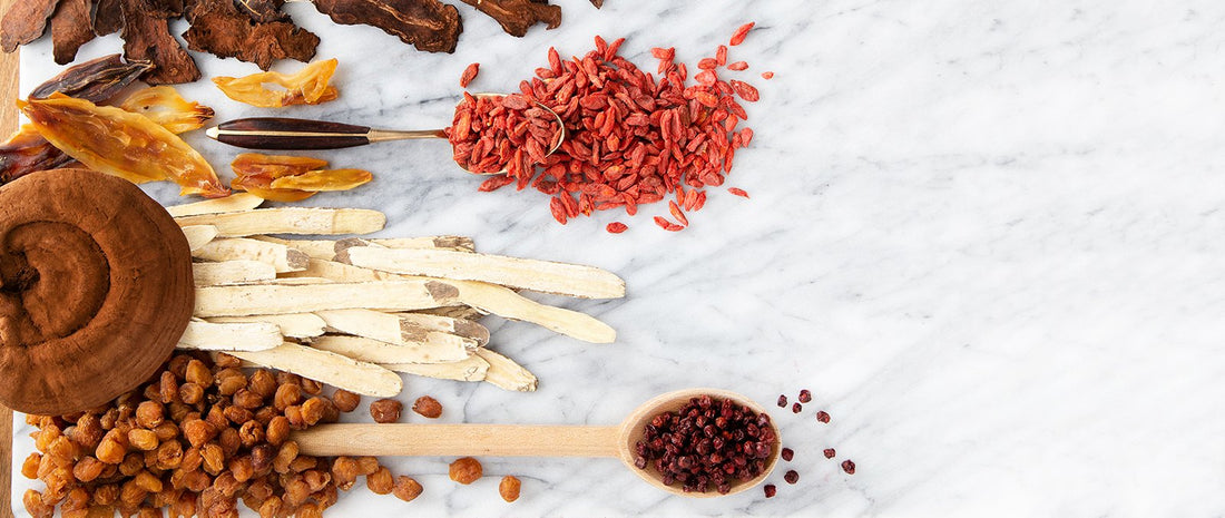 How to Incorporate Functional Mushrooms Into Your Daily Routines