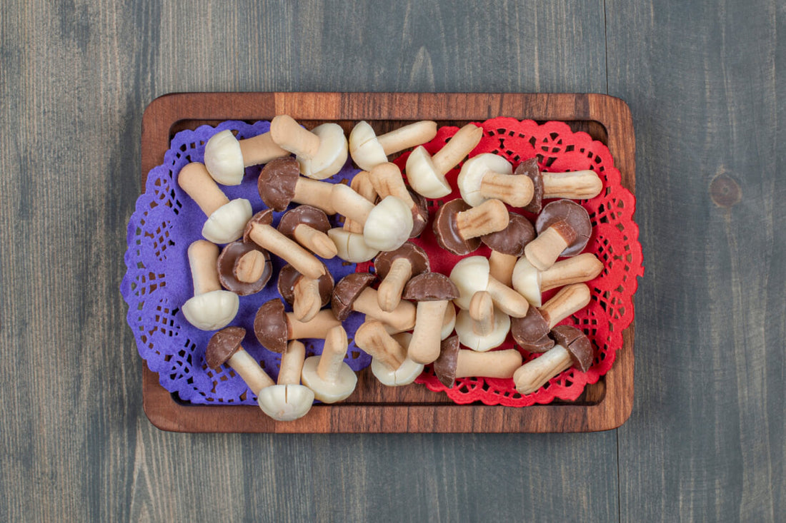 the mushroom advantage enhancing your brain health naturally