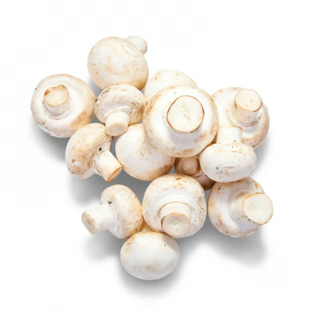 the power of functional mushrooms: how they boost health & wellness