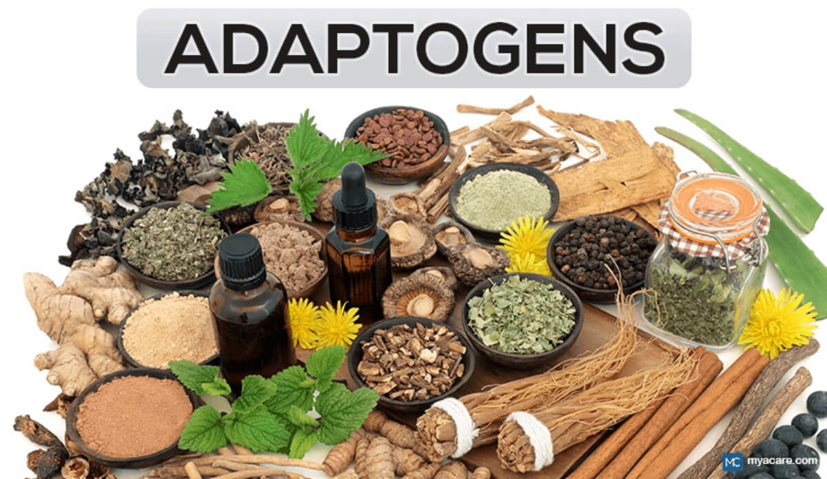 Top 5 Adaptogens You Must Use to Boost Your Performance – The Wellness ...