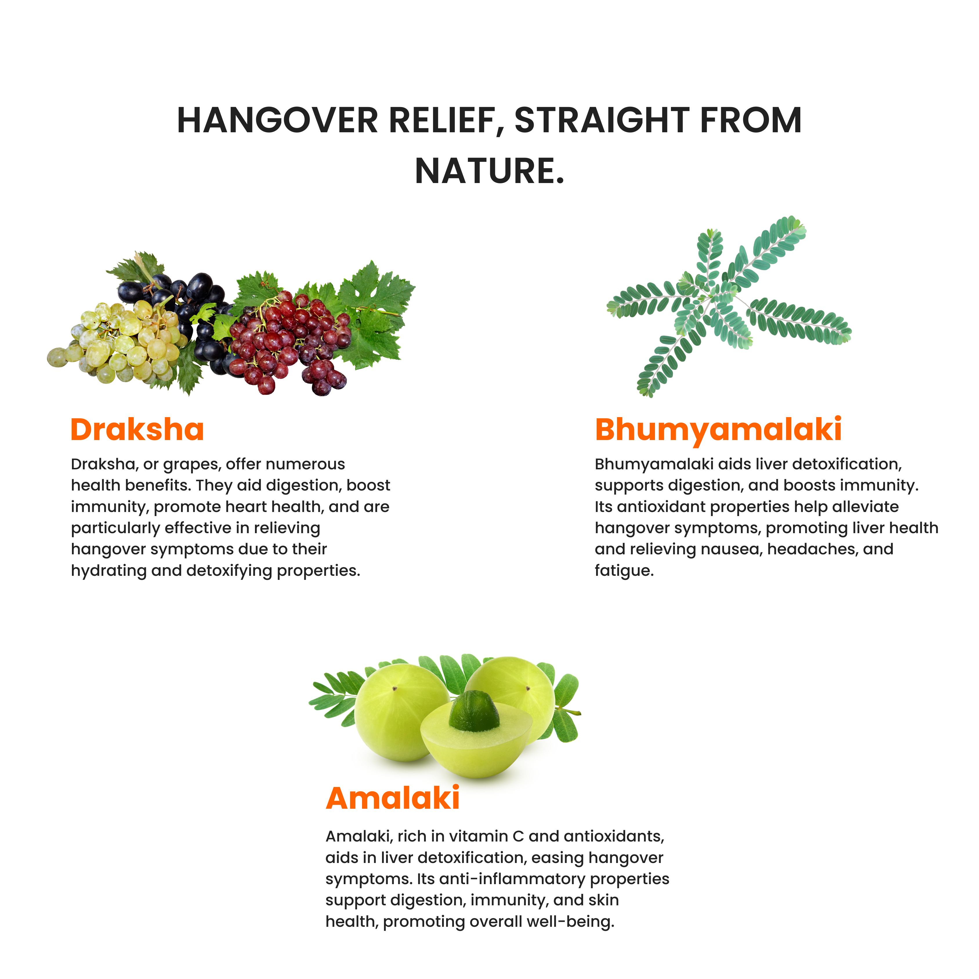 Woke Nutrition Hangover Relief Slips