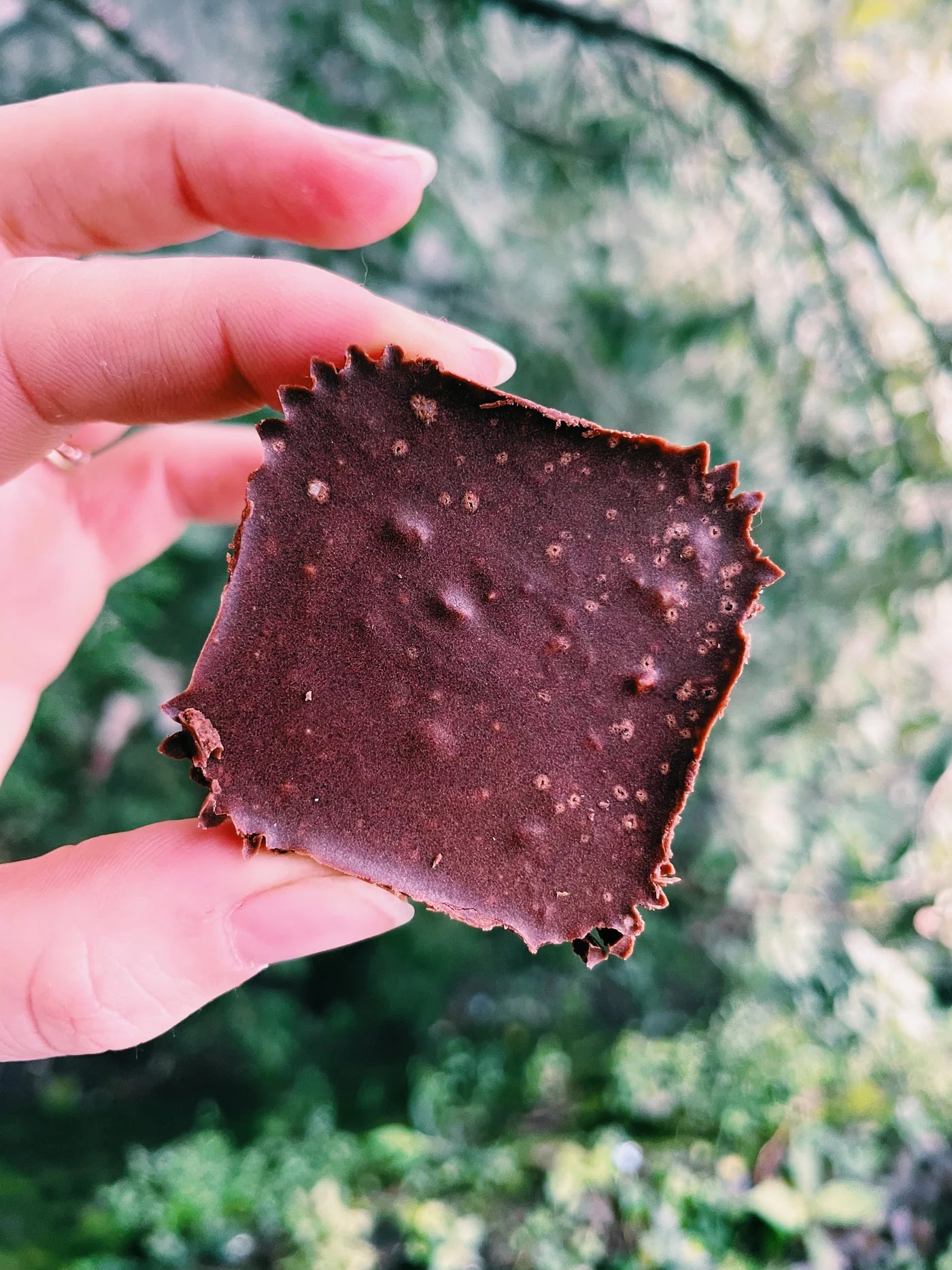 Atmosphere Studio Chocolate Almond Crunch Fudge