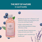 Atmosphere Studio Blueberry Lavender Kombucha