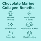 Further Food Wild-Caught Chocolate Marine Collagen with Reishi Mushroom