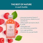 Atmosphere Studio Raspberry Kombucha