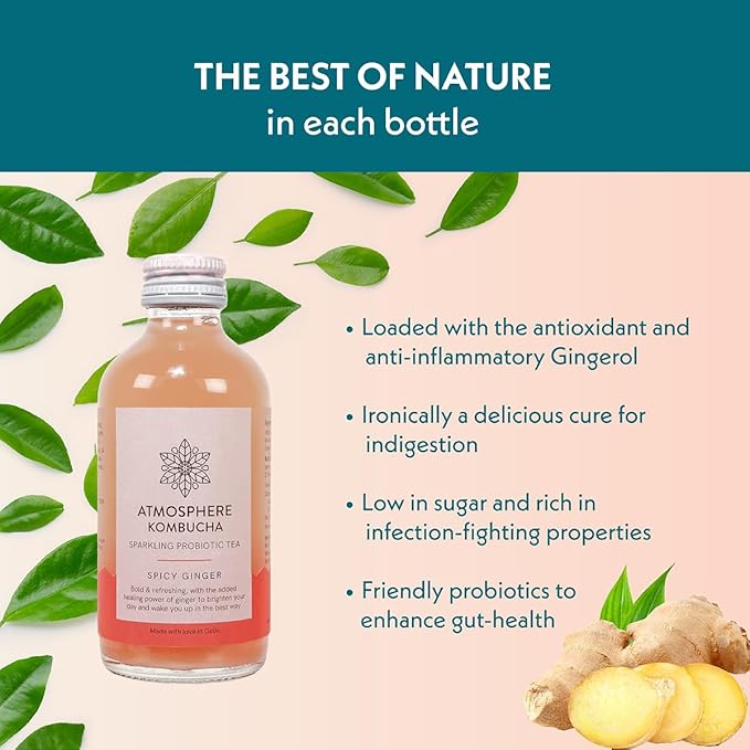 Atmosphere Studio Spicy Ginger Kombucha