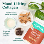 Further Food Chocolate Bovine Collagen Peptides with Reishi Mushroom