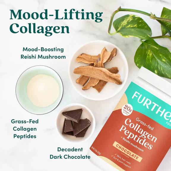 Further Food Chocolate Bovine Collagen Peptides with Reishi Mushroom
