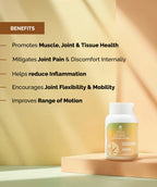 
BOHECO Glide+ Arthritis Management Capsules
