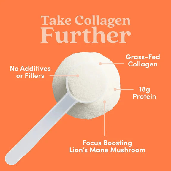 Further Food Hazelnut Bovine Collagen Peptides Powder with Lion's Mane Mushroom
