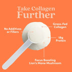 Further Food Hazelnut Bovine Collagen Peptides Powder with Lion's Mane Mushroom