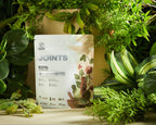 Rootine Organics Joints Superfood Blend