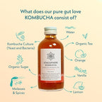 Atmosphere Studio Kolala Kombucha