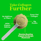 Further Food Matcha Bovine Collagen Peptides Powder with Cordyceps Mushroom