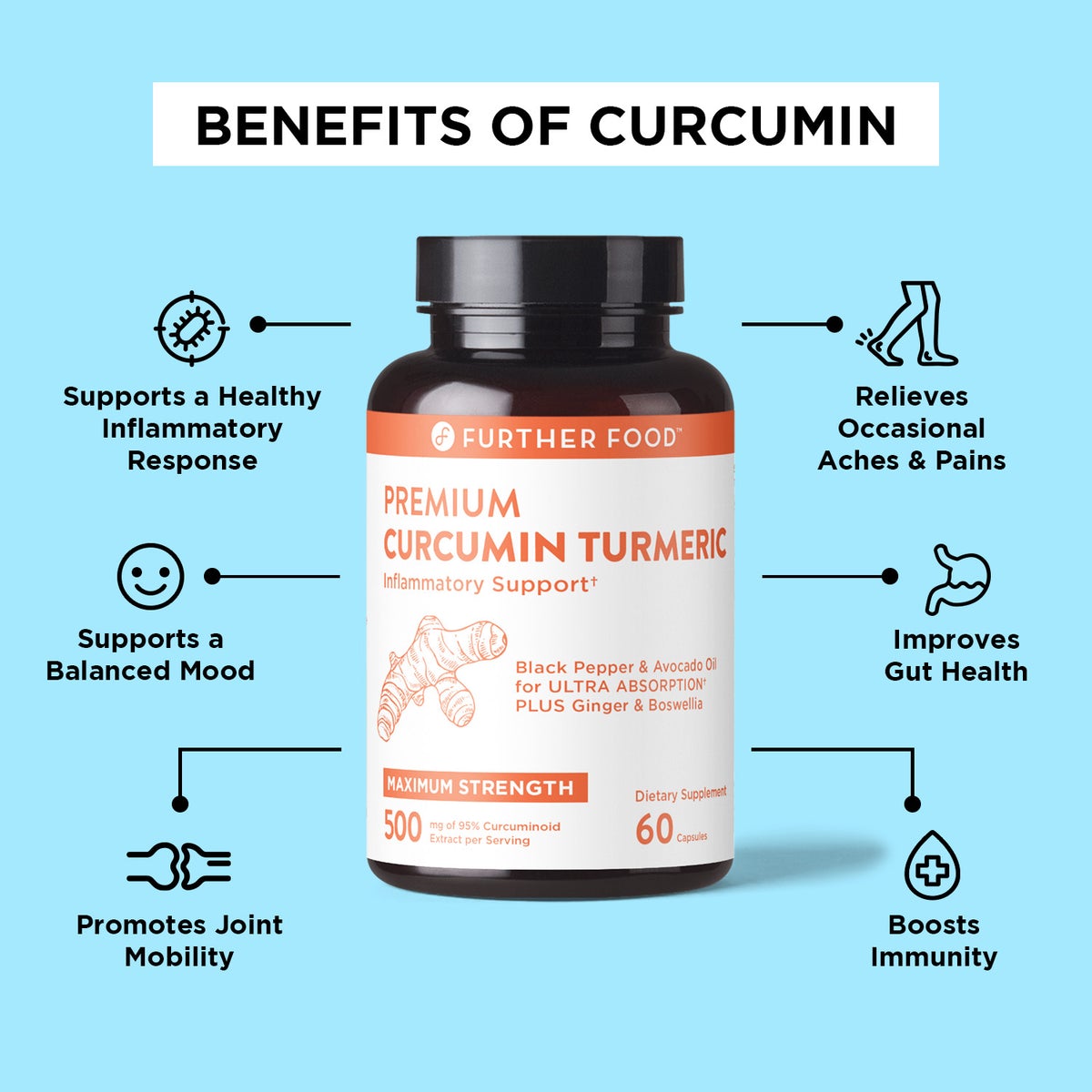 premium curcumin turmeric