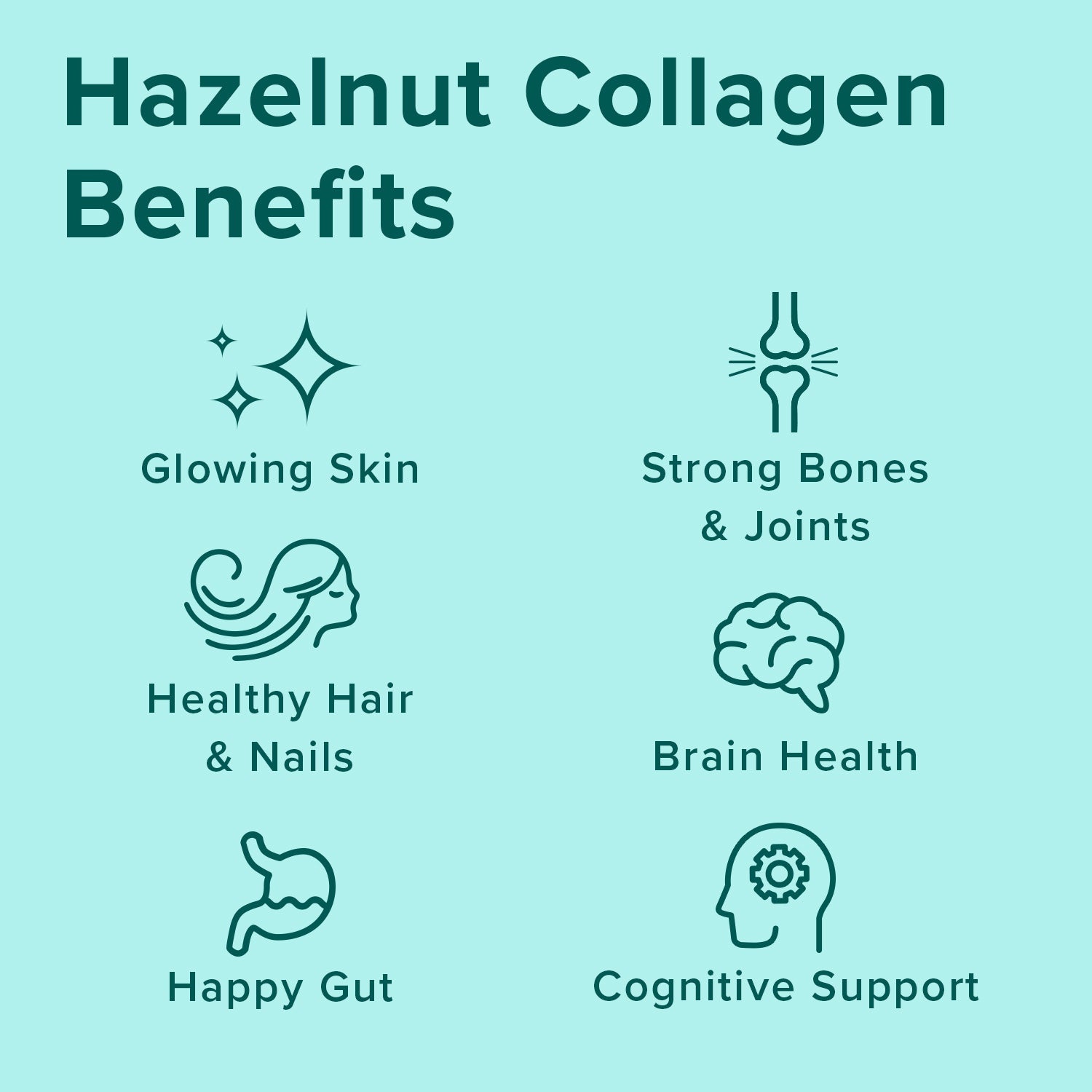hazelnut collagen with lion's mane